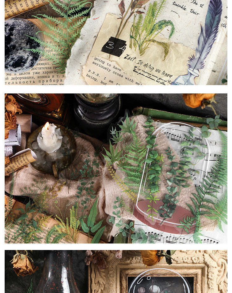 5Shape of Nature Retro Plants Sticker Pack2