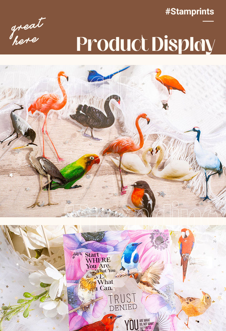 5Vintage Colorful Birds PET Sticker Pack1