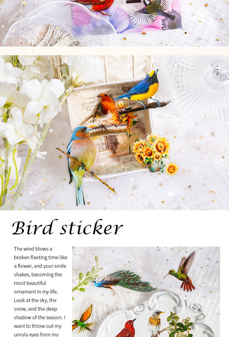 5Vintage Colorful Birds PET Sticker Pack2