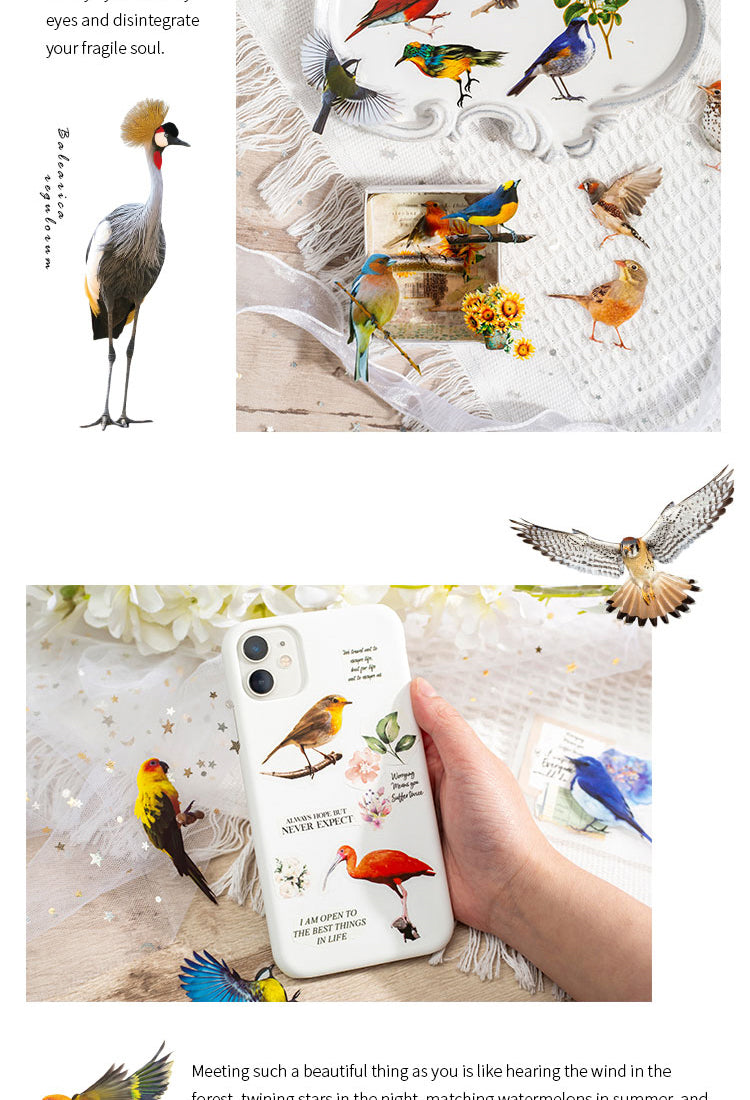 5Vintage Colorful Birds PET Sticker Pack3