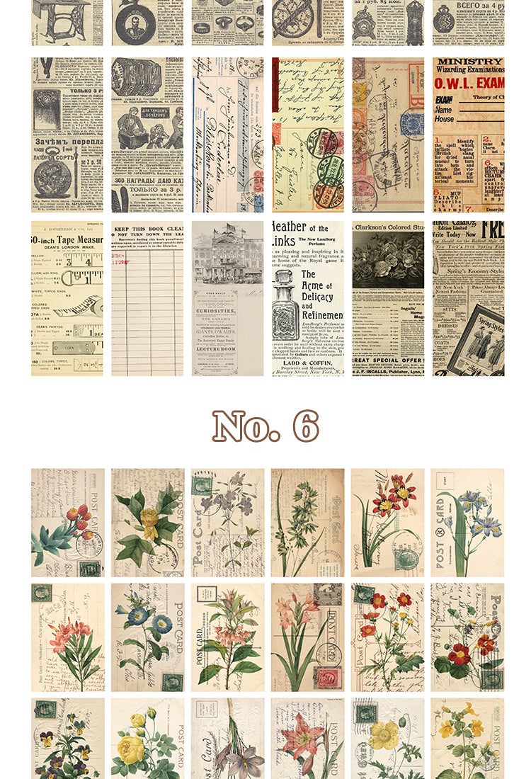 Vintage Botanical Notes Scrapbook Paper