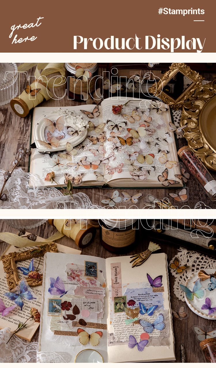 Product Display of Vintage Translucent Butterfly PET Sticker Pack