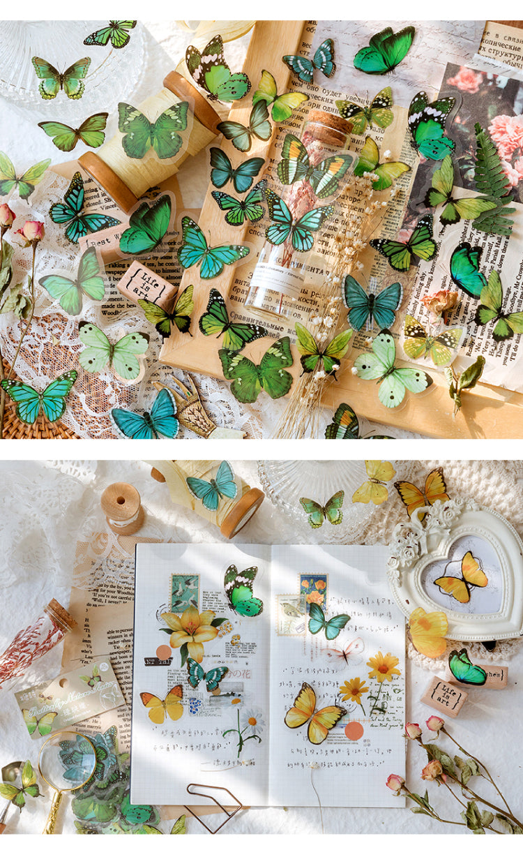 Product Display of Vintage Translucent Butterfly PET Sticker Pack-4