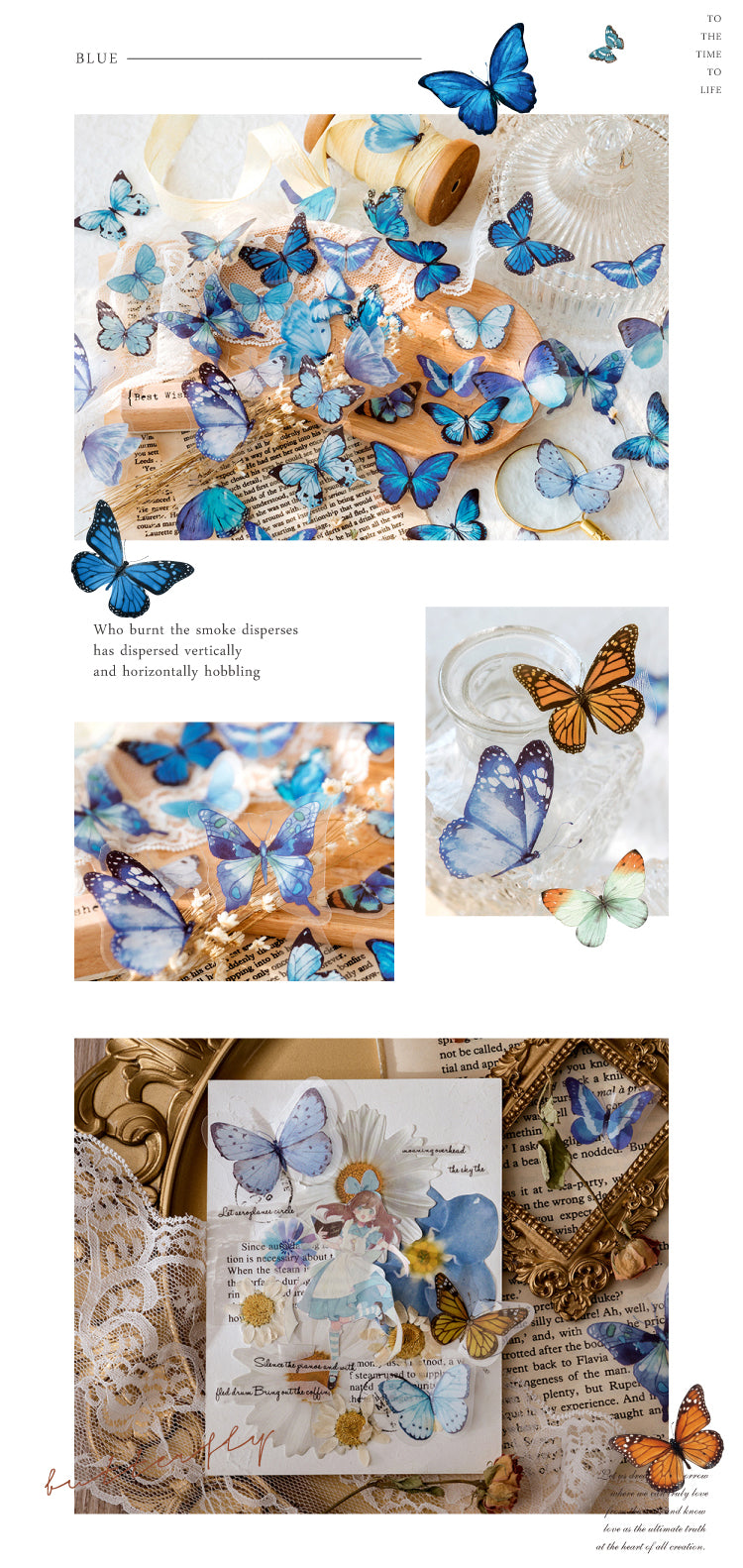 Product Display of Vintage Translucent Butterfly PET Sticker Pack-5