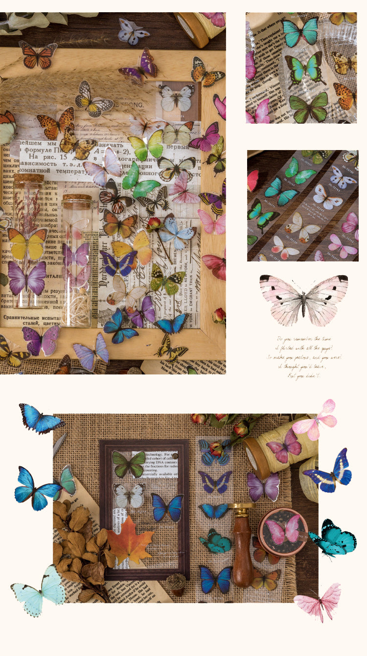 Product Display of Vintage Butterfly Collectors PET Sticker-2