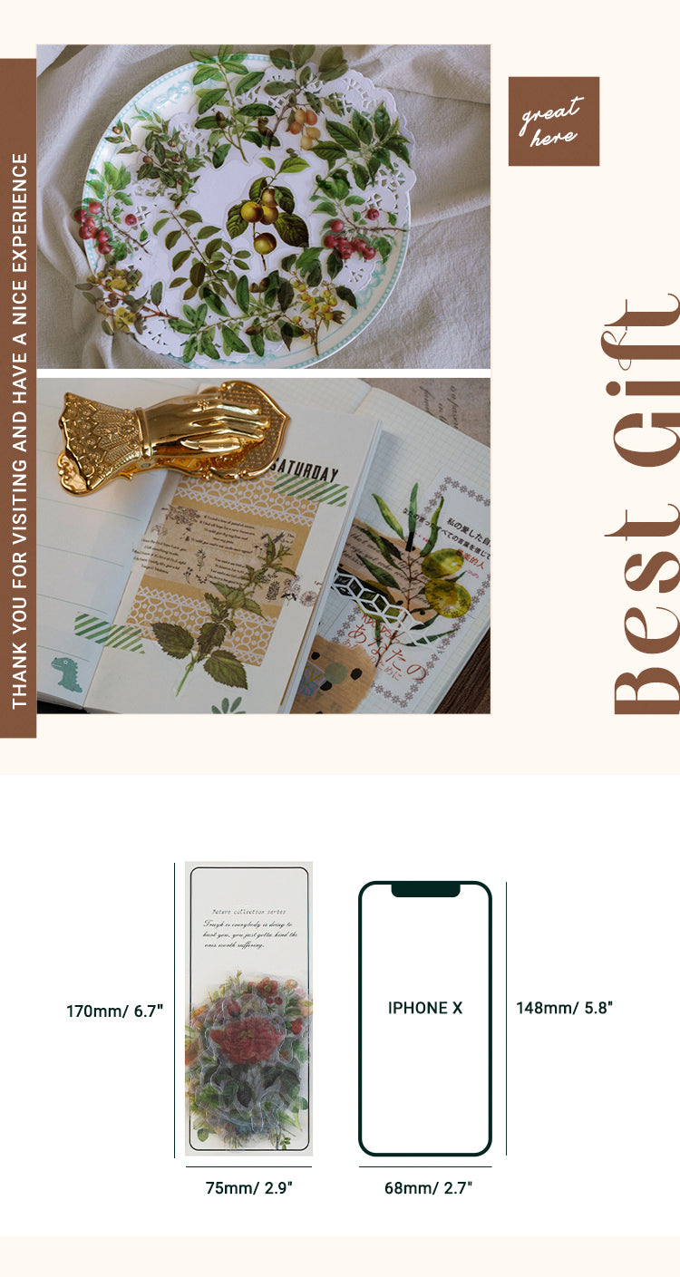 6Product Size Nature Photobook PET Plant Journal Sticker Pack