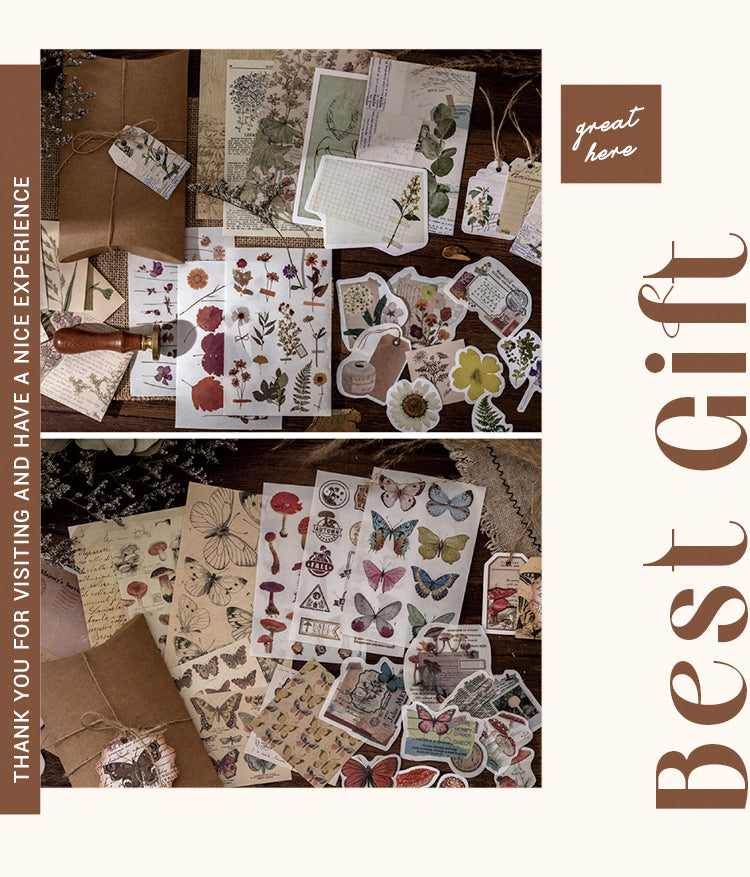 Product Display of Vintage Plant Moon Washi Sticker Pack-1