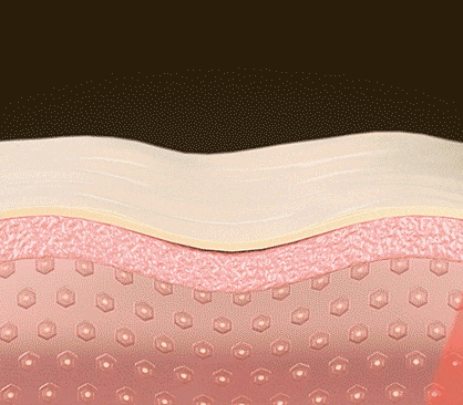 firming-shot 2.GIF__PID:f21c5423-03ec-45e2-a27c-5ac56edc1f8a