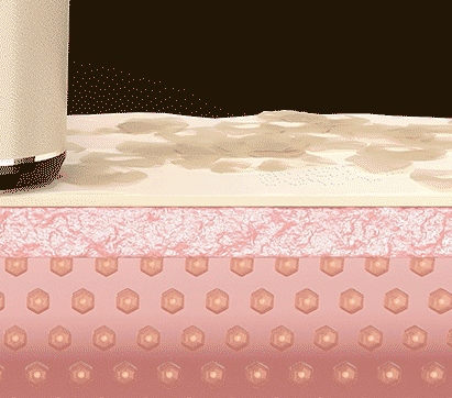 toning-shot 2.GIF__PID:fcc06df2-1c54-4303-ac85-e2e27c5ac56e