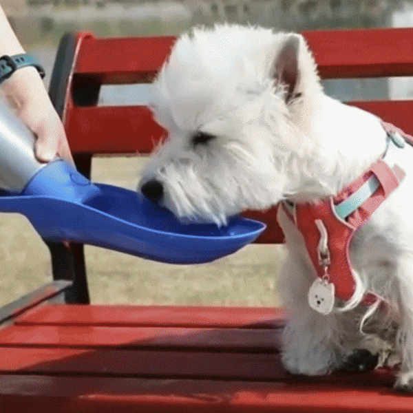 GIF_Portable_Water_Bottle_Stainless_Steel_for_Dog_chienalafolie