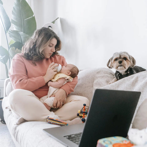 Choisir son Chien pour Appartement