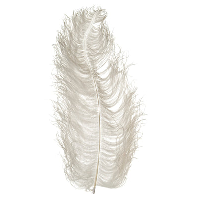 Ostrich Feather Trim: Feather Trimmings By Type from Italy, SKU