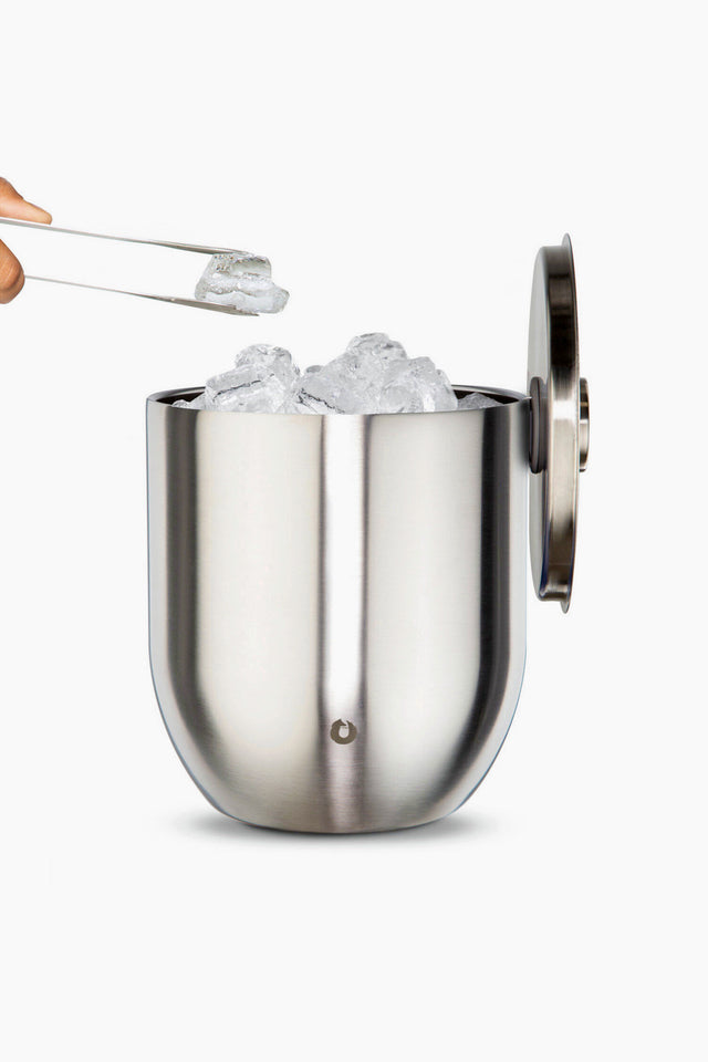 SNOWFOX Premium Vacuum Insulated Stainless Steel Martini Glass
