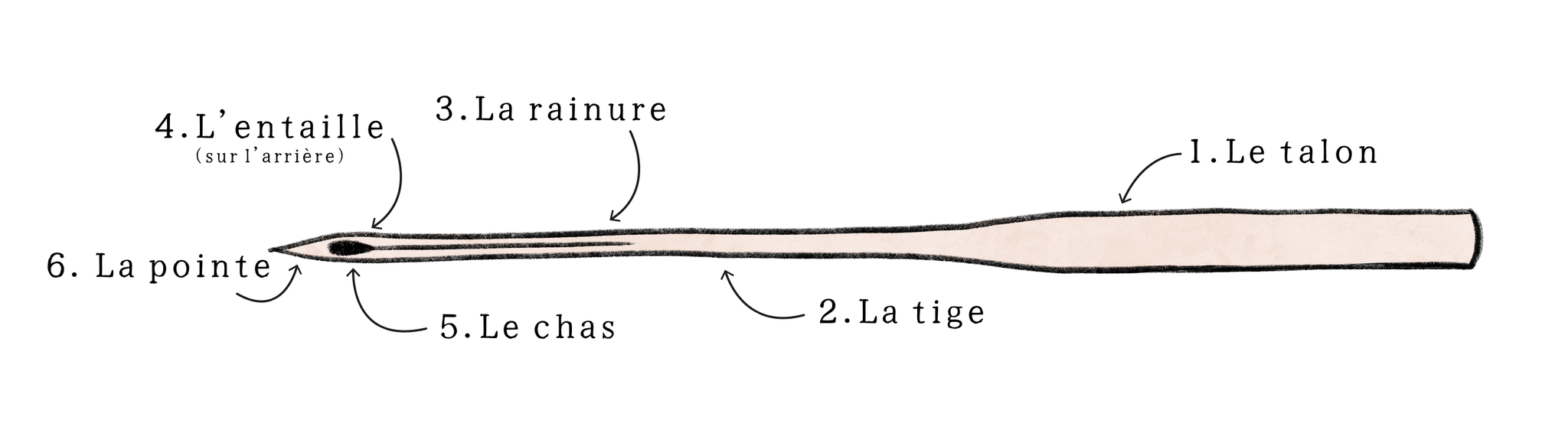 Comment choisir une aiguille pour une machine à coudre