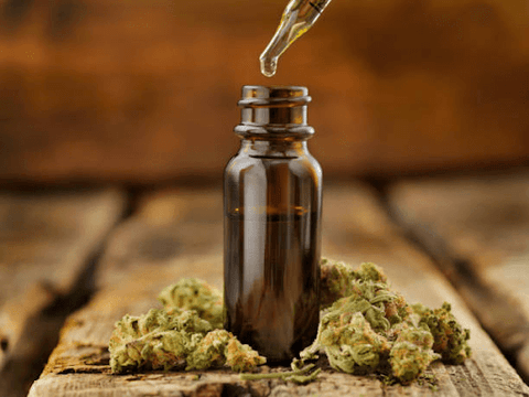 cbd y thc conoce las diferencias