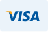 Visa Logo