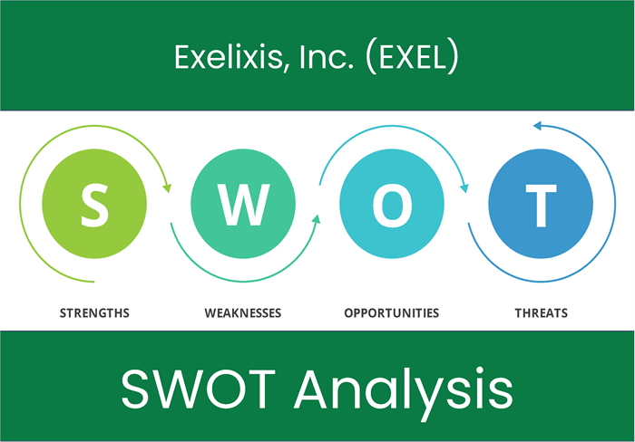 EXEL's SWOT Analysis Unveiled: Discover Strengths