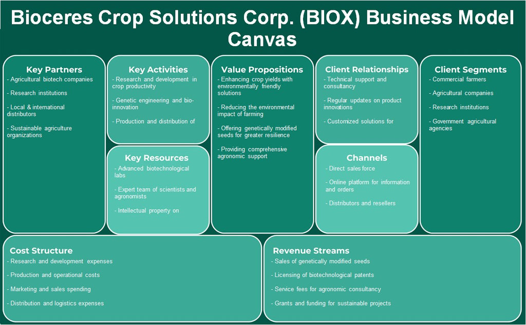Bioceres Crop Solutions Corp. (Biox): Modelo de negocios Canvas