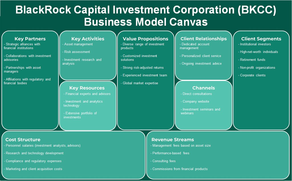 شركة بلاك روك كابيتال للاستثمار (BKCC): نموذج الأعمال التجارية