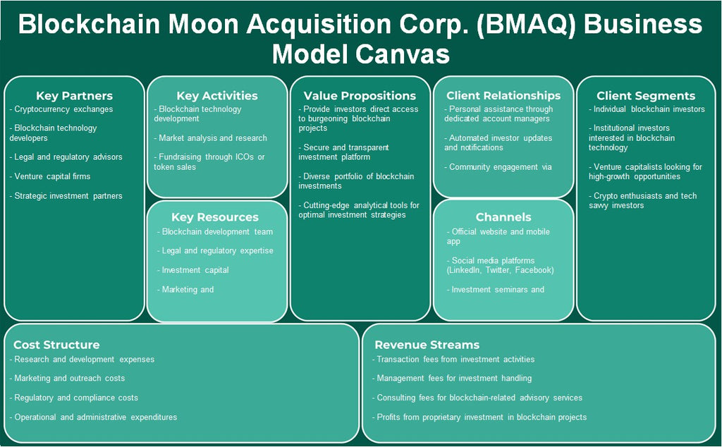 Blockchain Moon Aquisition Corp. (BMAQ): Canvas de modelo de negócios