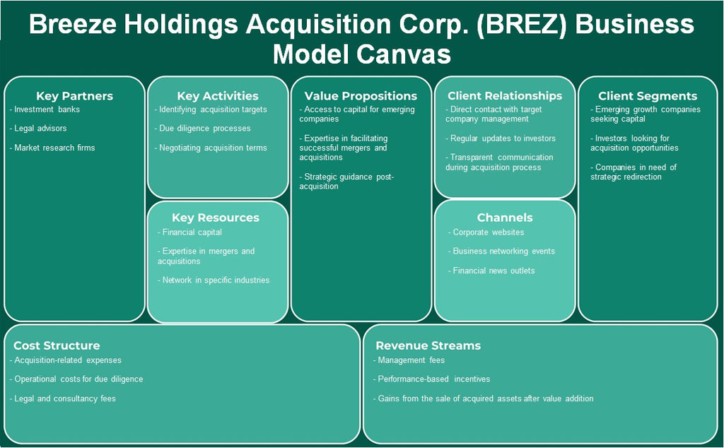 شركة Breeze Holdings Acquisition Corp (BREZ): Business Model Canvas