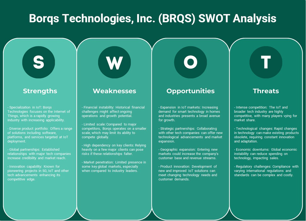 شركة بورقس تكنولوجيز (BRQS): تحليل SWOT