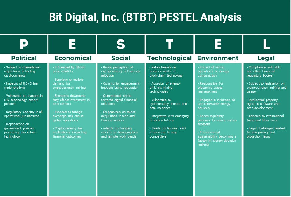 Bit Digital, Inc. (BTBT): Analyse PESTEL