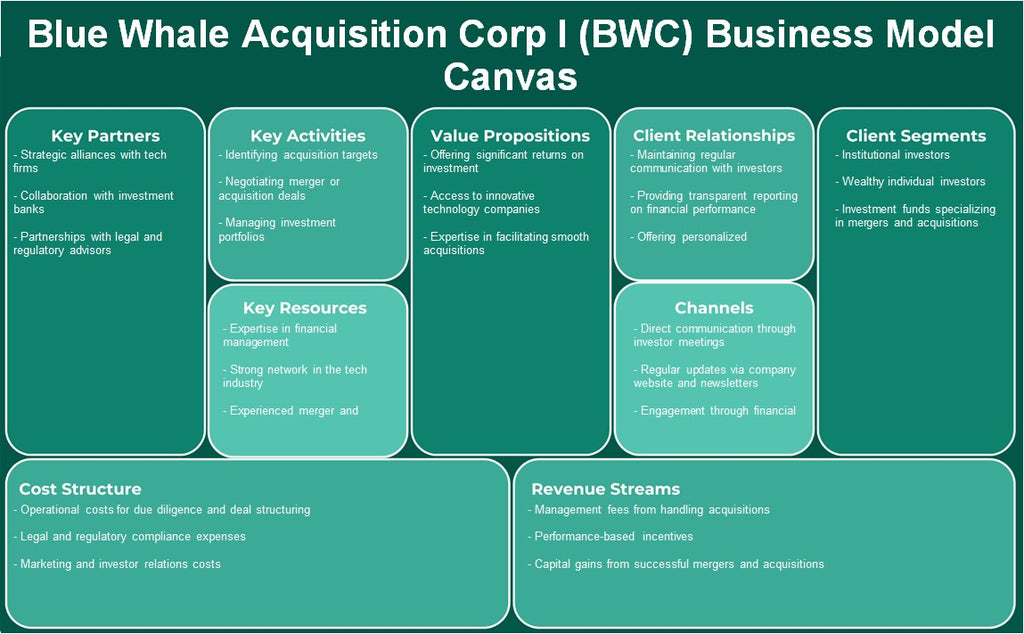 Blue Whale Adquisition Corp I (BWC): Modelo de negocios Canvas