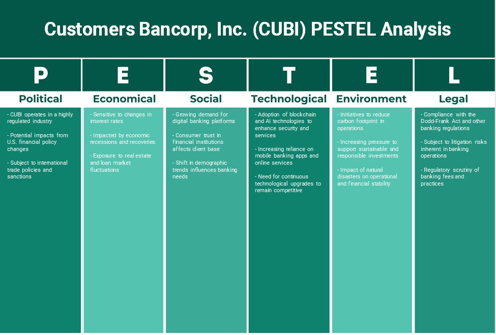 العملاء شركة Bancorp, Inc. (CUBI): تحليل PESTEL