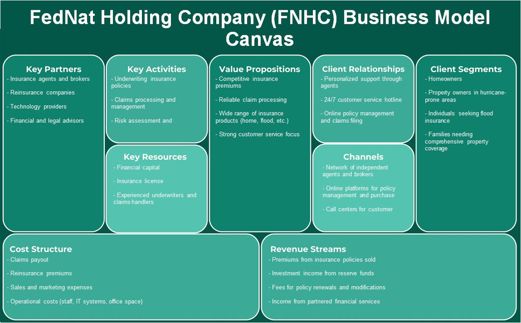 شركة فدنات القابضة (FNHC): نموذج الأعمال