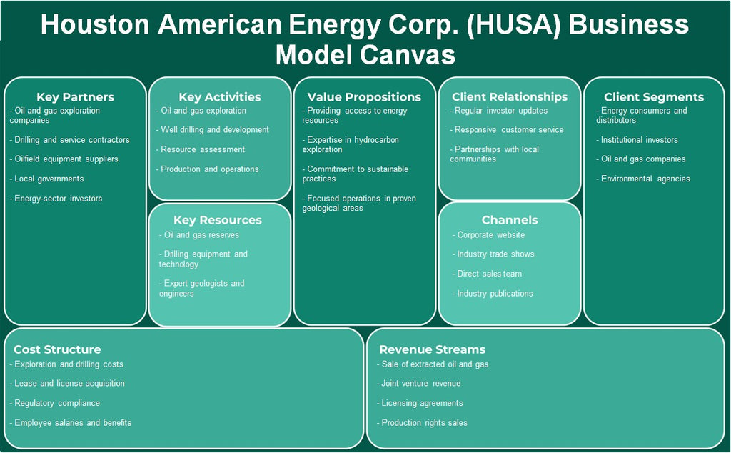 Houston American Energy Corp. (HUSA): Business Model Canvas