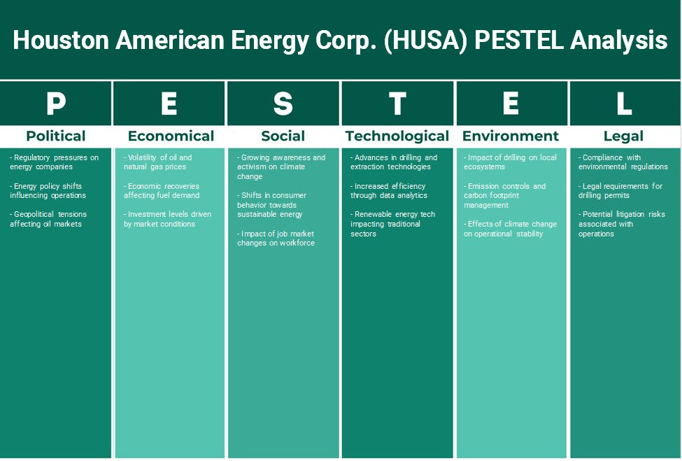 Houston American Energy Corp. (Husa): Análise de Pestel