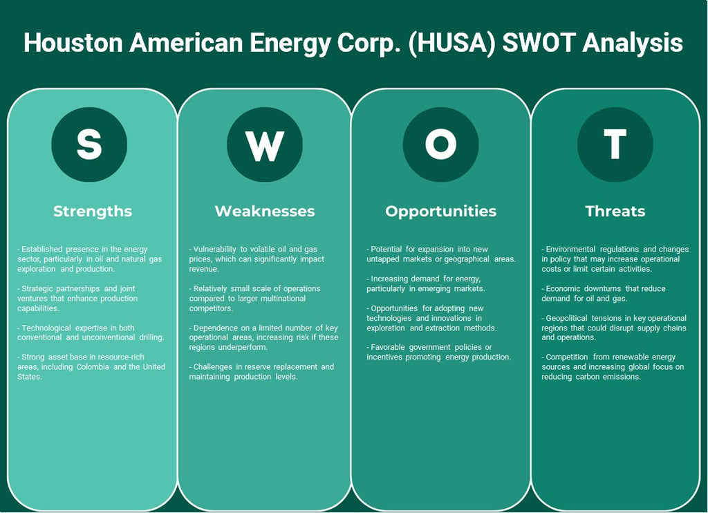 Houston American Energy Corp. (HUSA): analyse SWOT