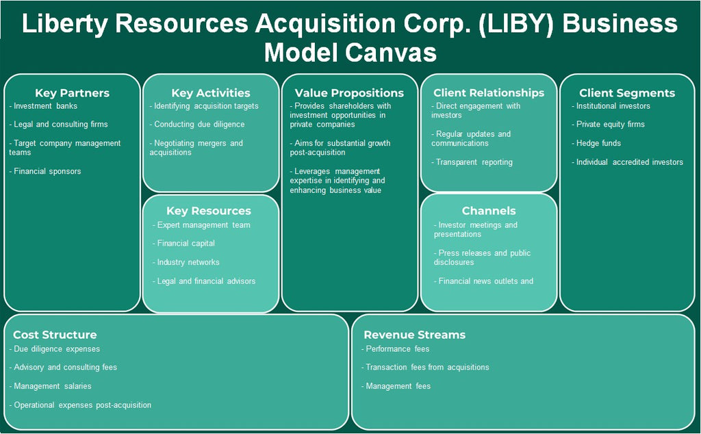 Liberty Resources Aquisition Corp. (Líbia): Canvas de modelo de negócios