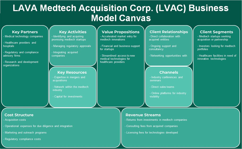 Lava Medtech Adquisition Corp. (LVAC): Modelo de negocios Canvas