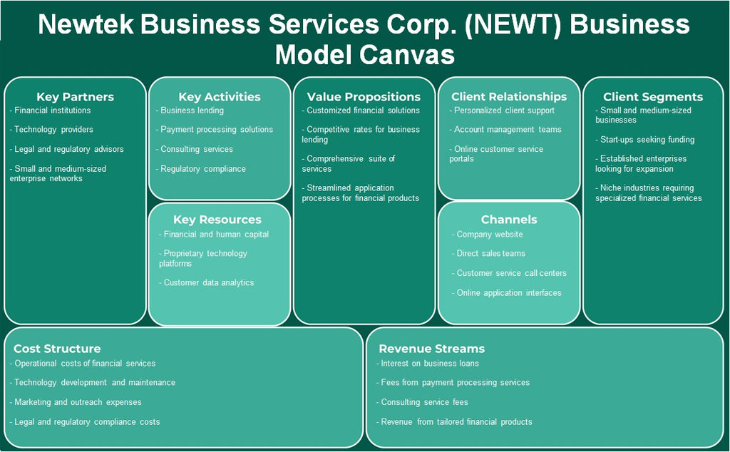 NewTek Business Services Corp. (Newt): Business Model Canvas