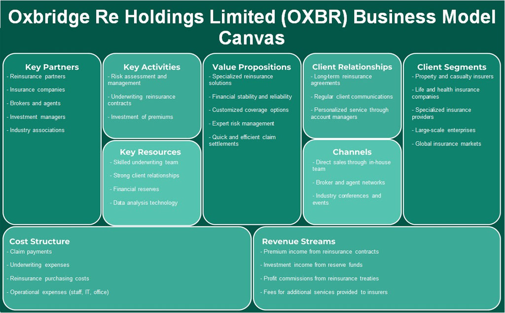Oxbridge Re Holdings Limited (OXBR): Canvas du modèle d'entreprise