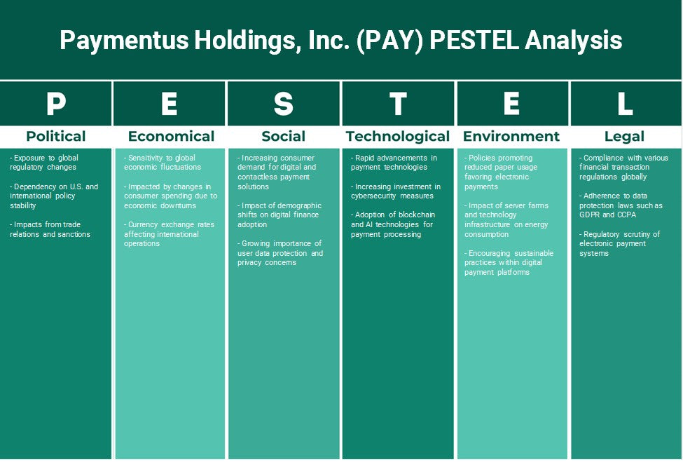PAYSUS HOLDINGS, Inc. (Pay): Analyse PESTEL