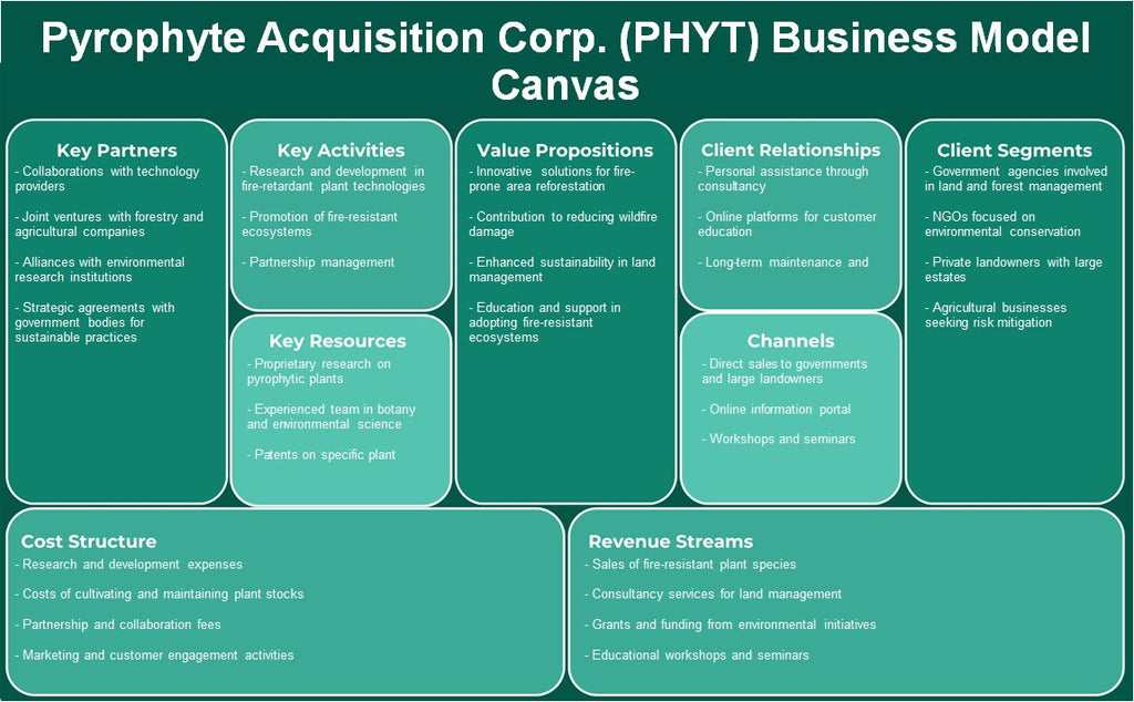 Pirófito Aquisição Corp. (PHYT): Canvas de modelo de negócios