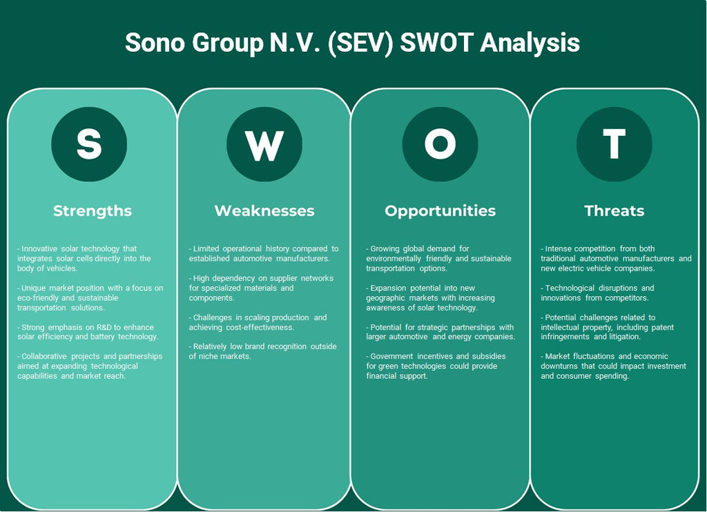Grupo Sono N.V. (SEV): Análise SWOT