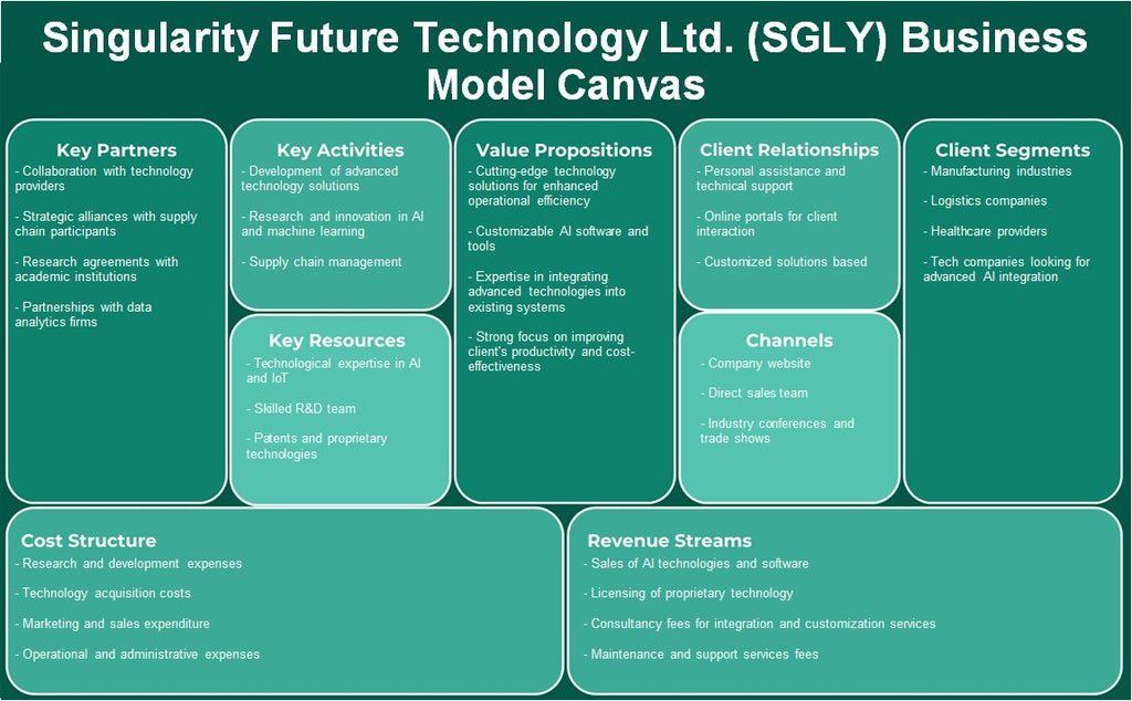 Singularity Future Technology Ltd. (SGLY): Canvas de modelo de negocio