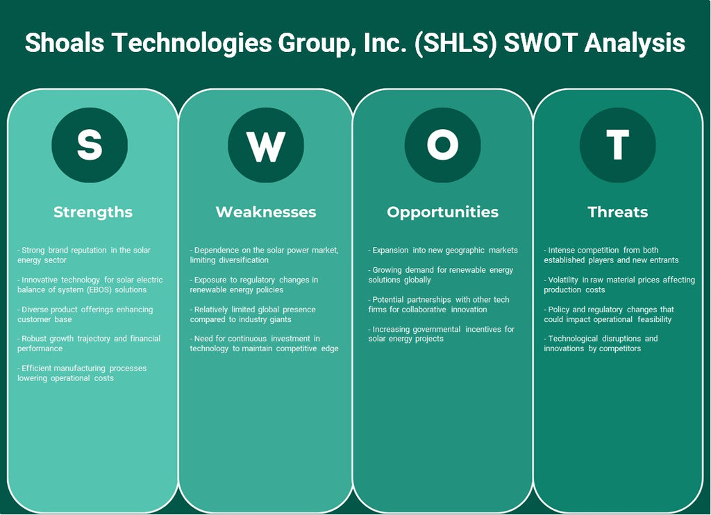 مجموعة شولز تكنولوجيز (SHLS): تحليل SWOT