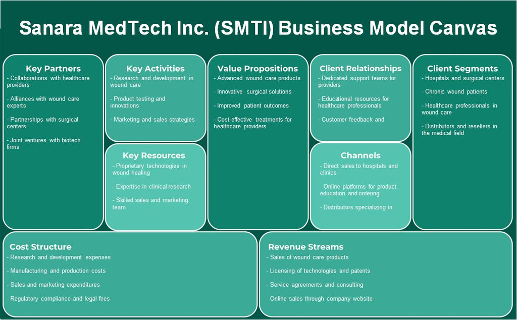 Sanara Medtech Inc. (SMTI): Modelo de negocios Canvas