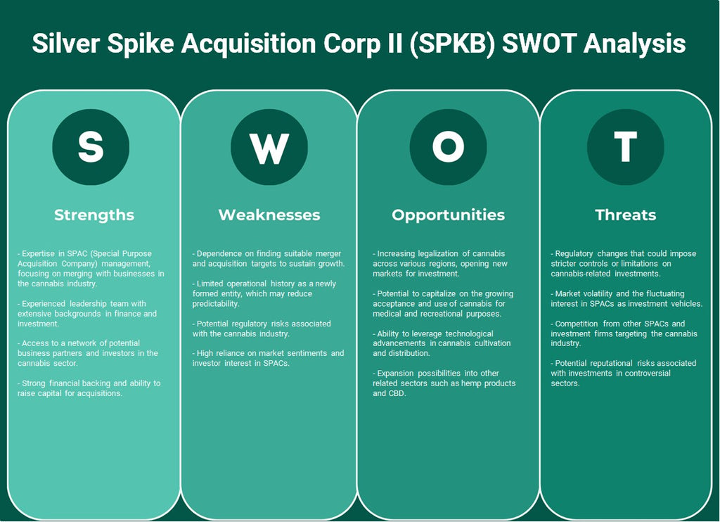 شركة Silver Spike Acquisition Corp II (SPKB): تحليل SWOT