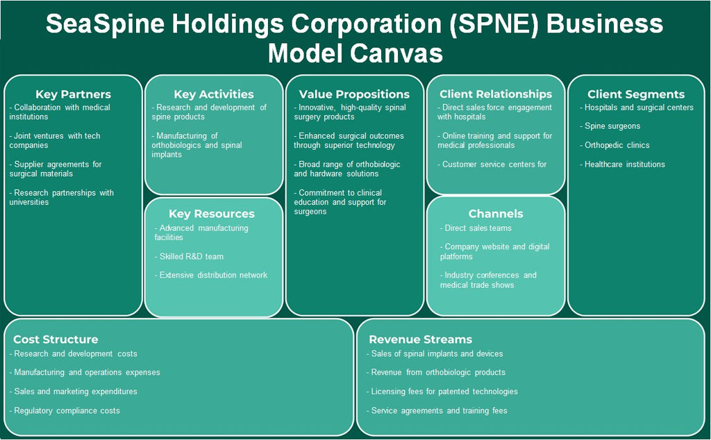 Seaspine Holdings Corporation (SPNE): Canvas de modelo de negocio
