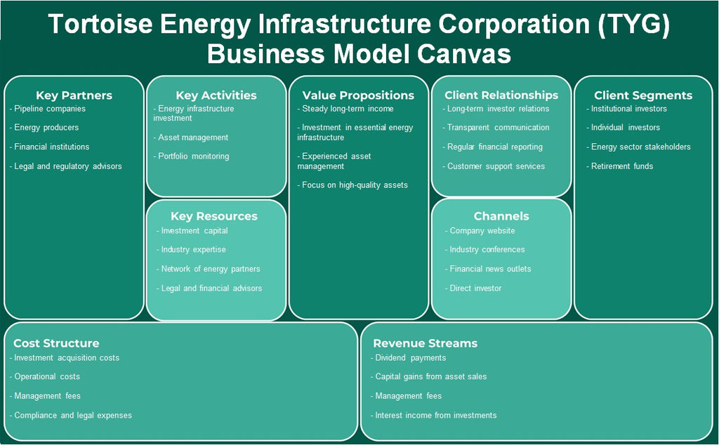شركة السلحفاة للبنية التحتية للطاقة (TYG): نموذج الأعمال التجارية