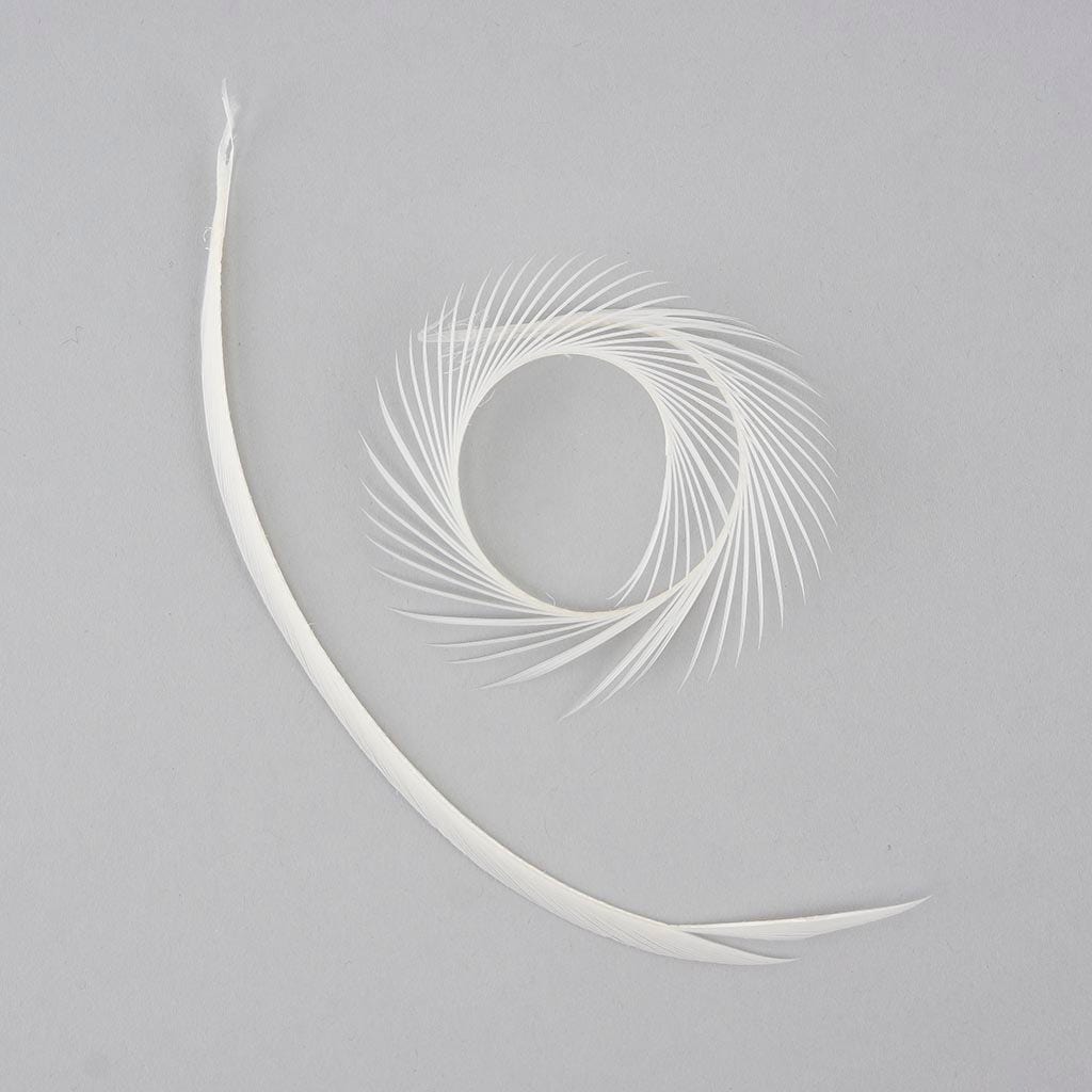 Goose Biot Feathers 1/4 lb (approx. 500 pcs) - White