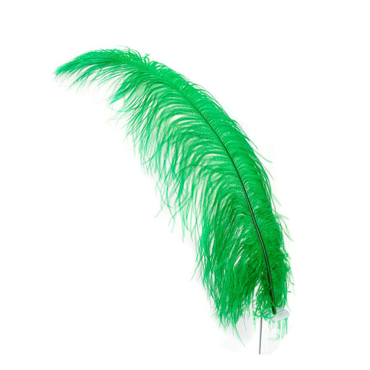 Large Ostrich Feathers - 20-25 Prime Femina Plumes - Shocking