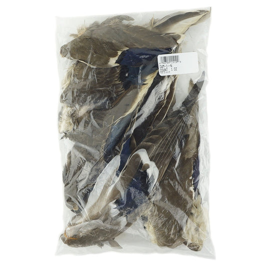 1/4 Lb. - Iridescent Blue Mix Mallard Duck Wing Wholesale Feathers (Bulk)  Craft