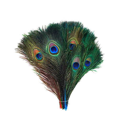Peacock Tail Eyes Stem Dyed Neon Mix Feathers | Buy Craft Feathers